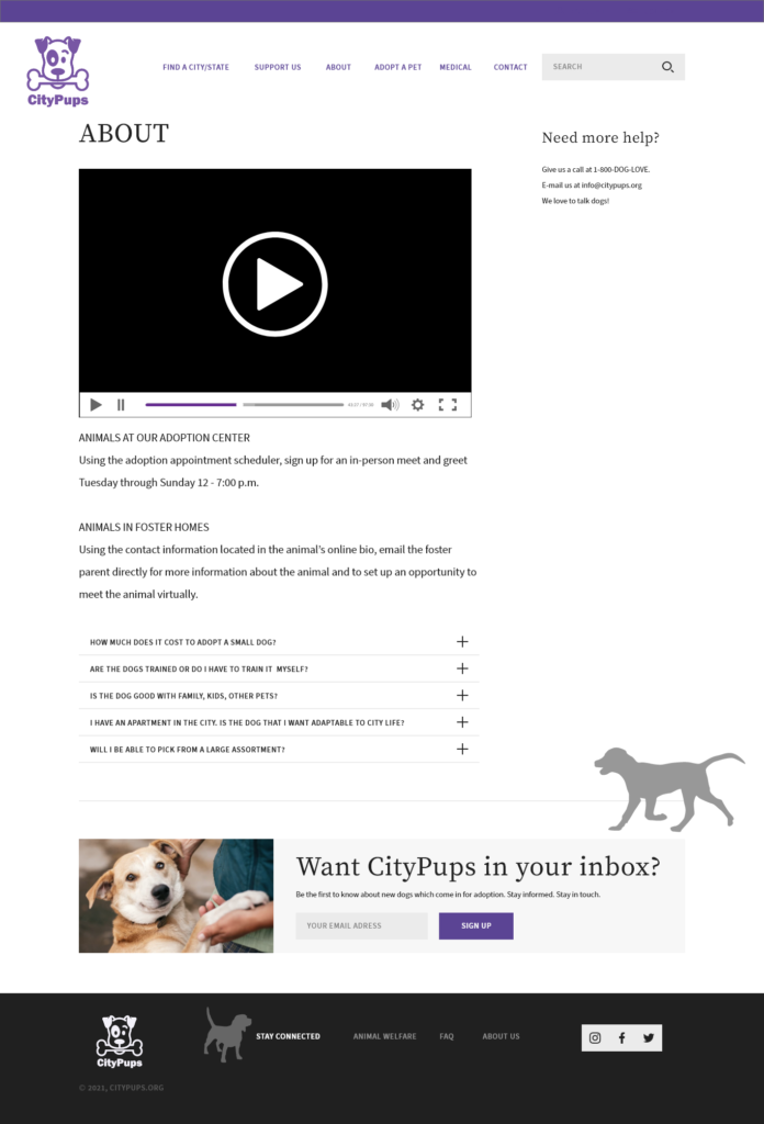 A video of a dog is shown on the screen.