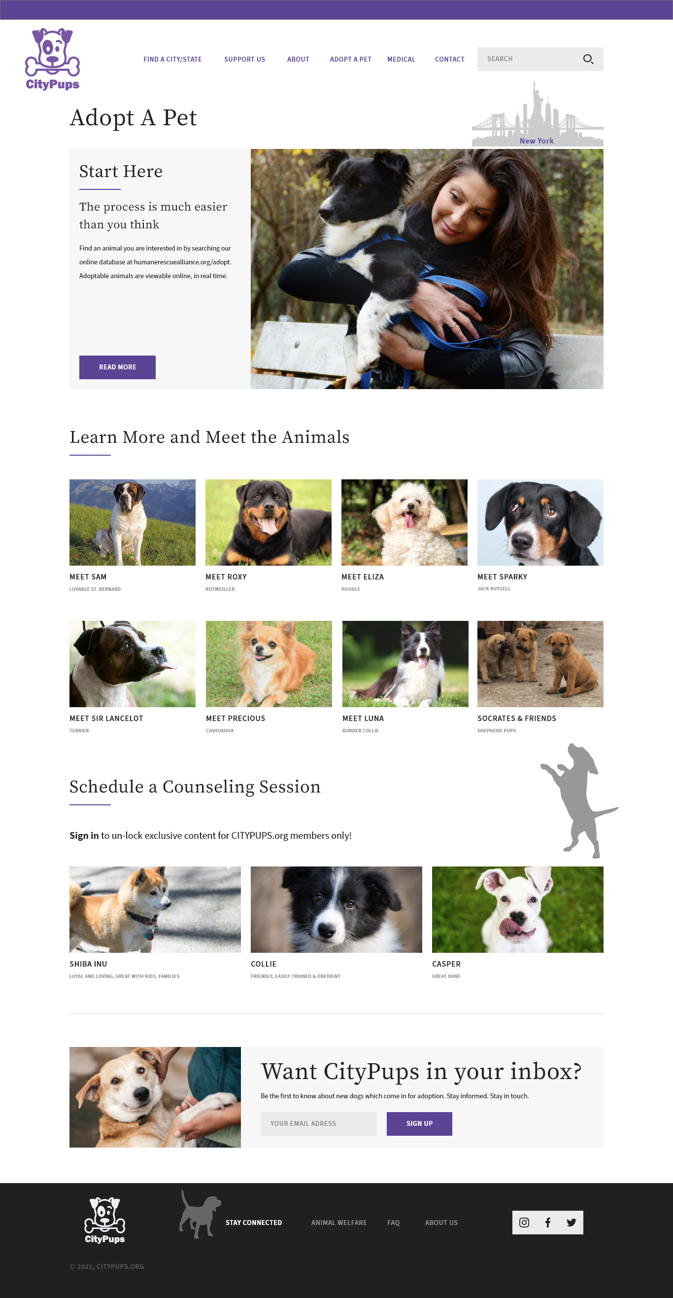 A page of dogs with the words " learn more and meet the animals ".